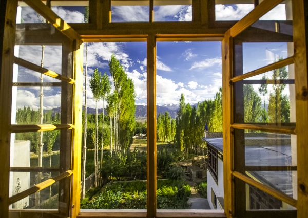 Wood Window Replacement in Leander